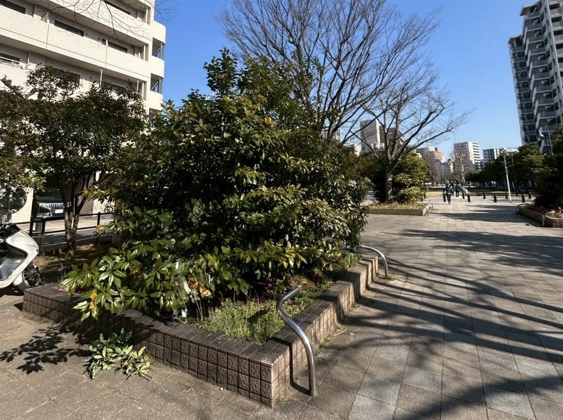 2202605040544420.jpg